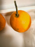 京鲜生 无核蜜桔 精选5斤装橘子/桔子  单果100g+ 生鲜水果礼盒 实拍图