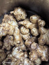 【天然胰岛果】新鲜洋姜可腌制鬼子姜姜不辣农家蔬菜菊芋泡菜 【中大果】价格实惠带箱3斤 实拍图