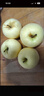 京极鲜 山东烟台黄元帅苹果粉面沙甜孕妇老人 5斤黄元帅【10-12个】 实拍图