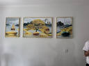 Sixpoetry 客厅装饰画现代简约沙发背景墙壁画轻奢三联晶瓷画大气高档挂画 福禄纳财（铝合金外框） 晶瓷画左右50*70+中间100*70亮面 实拍图