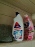 国标品质洁厕灵马桶清洁剂强力除垢马桶除臭清洁剂厕所除尿垢 600g大容量x1瓶【秒杀价】 实拍图