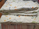 京东京造100%全棉印花夏被 A类夏凉被可机洗空调被子 山野繁花 150*200cm 实拍图