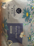 酷安奇 COOANGE圣贝儿拉拉裤XL码68片（12-17kg）弱酸亲肤医护级尿不湿加量装 实拍图