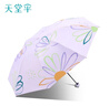 天堂伞遮阳伞太阳伞黑胶防晒伞防紫外线晴雨伞两用女士超轻便携UPF50+ 一帘花梦-3折-浅紫 实拍图