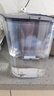 飞利浦（PHILIPS）净水壶 滤水壶 家用过滤壶 厨房自来水过滤器 滤水器 过滤器滤芯 便携净水杯 AWP2814蓝色/白色 专家版蓝色【1壶13芯】 实拍图