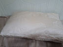 罗莱家纺 枕头枕芯 桑蚕丝枕A类提花抗菌成人护颈枕 46*72 实拍图