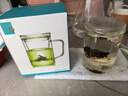 忆壶茶玻璃茶杯个人专用泡茶水分离带盖把手耐热办公室绿茶水杯子 实拍图