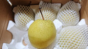 富祺元河北特产赵州赵县雪花梨冰糖雪梨脆甜多汁当季水果梨子新鲜 雪花梨4.5斤 实拍图