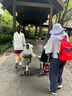 kocotreekk树儿童防晒帽防紫外线宝宝遮阳帽夏季男童女童太阳帽沙滩大帽檐 实拍图