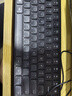 惠普（HP）K241L办公剪刀脚轻薄办公键盘 104全键有线键盘 剪刀脚轻音笔记本电脑外接台式家用办公打字用 实拍图