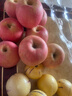 京鲜生 烟台红富士苹果 8粒装 单果160-190g 生鲜水果 实拍图