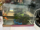 高清热弯玻璃鱼缸 透明家庭一体客厅桌面水草缸龟缸生态溪流 高清热弯鱼缸40*24*25cm 实拍图