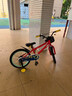 凤凰（Phoenix）自行车儿童男女孩3-6-10-13岁带辅助轮小恐龙红18寸生日新年礼物 实拍图