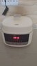 小熊（Bear）电炖盅 炖汤盅电炖锅隔水炖燕窝炖盅煲汤炖汤一体电锅3-4人用炖蒸煮一体4.1L DDZ-J25H5 实拍图
