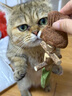 阿柴与猫猫咪玩具鱼骨头木天蓼猫薄荷磨牙棒仿真鱼磨牙耐咬自嗨解闷逗猫棒 实拍图