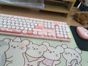 GEEZER Hello bear 无线复古朋克键鼠套装 可爱办公键鼠套装 鼠标 电脑键盘 笔记本键盘 粉色 实拍图