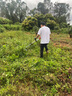 德力西大功率电动割草机手持充电式打草机小型家用农用开荒锂电除草神器 无刷续航皇【20节10.0Ah】2电1充 【中国500强企业】全新官方正品 实拍图