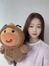 多爱（Duoai）  正版水豚噜噜公仔毛绒卡皮巴拉玩偶超大号送女友生日礼物 马年噜噜公仔28cm 送女孩女友道歉礼物送女生男生 实拍图