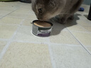 维倍思VET'SBEST绿十字猫罐头排毛化毛猫咪零食成猫补水鸡肉主食罐头85g 实拍图