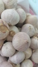 云南紫皮独头蒜干蒜果经3.0mm+ 大果直径3.0左右（2斤） 实拍图