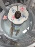 iuu婴儿游泳桶免安装 儿童洗澡桶 可折叠泡澡桶家用新生儿游泳池浴桶 【免安装-透明】超大号+游泳圈 母婴级面料，耐磨稳固防变形 实拍图