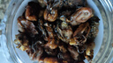方家铺子海蛎干230g 牡蛎干蚝干粥主料 海鲜干货包粽子煲汤非生蚝干材料 实拍图