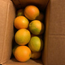 京觅 江西赣南脐橙4.5斤净重橙子单果160g纽荷尔甜橙新鲜水果源头直发 实拍图