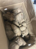 【真便宜】正宗新鲜牛奶芋头蔬菜芋艿香甜粉糯早餐代餐辅食 5斤装 现挖现发-精选大果(鸭蛋大小） 实拍图