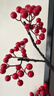 京东鲜花 发财红果浆果冬青仿真罗汉果插花客厅茶室花艺家居高端装饰摆设 实拍图