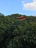 艾诗（Enchanteur）沐浴露 香氛沐浴乳水润保湿柔嫩肌肤持久留香 桃花花香668g 实拍图