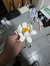 乐高（LEGO）积木拼装40647 荷花男孩女孩儿童玩具生日礼物 实拍图