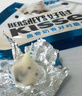 好时 Kisses 曲奇奶香脆乐多 500g 袋装  婚庆糖果伴手礼  生日礼物女 实拍图