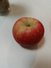 京鲜生 陕西洛川苹果红富士  净重5斤  单果200g+ 生鲜水果 实拍图