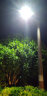 西桥照明 LED路灯头公园广场小区庭院户外道路灯户外公路照明灯20W-210W集成LED路 50W单头 正白 晒单实拍图
