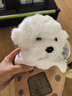 威尔通（WELTSTON）博美小狗公仔礼品毛绒玩具玩偶儿童生日礼物女生 茶杯犬斜跨背包 实拍图