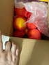 京鲜生 爱媛果冻橙 10斤装 单果180g起 生鲜水果礼盒 实拍图