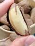 柚柒天鲍鱼果带壳巴西坚果新货特级大颗粒鲍鱼果零食新疆特产富硒沙漠果 【尝鲜款】鲍鱼果50g（大颗粒 无碎果） 实拍图