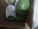 甜果源 攀枝花凯特芒果 大青皮芒果老树煌芒台应季时令礼盒新鲜水果包邮 5斤【单果200-300g】净重4.5-4.9斤 实拍图