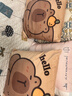 慢说抱枕沙发靠枕飘窗睡觉靠背垫卡通枕套可拆洗含抱枕芯内胆 50*50cm 实拍图