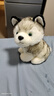 嘉百利 可爱仿真哈士奇公仔毛绒玩具小狗狗二哈玩偶小号娃娃女孩生日礼物女生送女友 Q版哈士奇 30厘米大号 实拍图