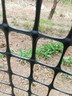 界图 塑料网格防护养殖养鸡围栏网玉米网围栏安全网防护网格护栏围网 1.5米高+3厘米孔+扎带 2.3mm厚(50米/卷)【简单防护】 实拍图
