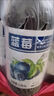 蓝莓汁100%甄选整箱批发310mL*瓶养眼护眼蓝莓果味饮料水 护眼蓝莓【冲量】无糖饮料 24瓶【眼睛的好营养】80%选购 实拍图