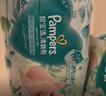 帮宝适【超薄透气】清新帮透氧Pro新生儿纸尿裤尿不湿尿片尿布NB66 实拍图