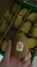 佳沛（zespri）新西兰  阳光金奇异果16粒礼盒经典果单果约 77-103g 水果 猕猴桃 实拍图