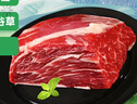 天莱香牛有机健康大块牛腩1斤 可溯源生鲜牛肉低温排酸谷饲清真【真原切】 实拍图