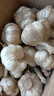 新鲜干蒜即食水果大蒜蔬菜小龙虾生蚝调料蒜 新干蒜大蒜3斤含箱 实拍图