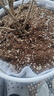 德沃多肥料55L植物营养土通用养花土种菜有机土壤泥炭土绿植盆栽种植土椰糠 实拍图