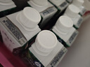 蒙牛特仑苏嗨Milk脱脂纯牛奶250ml*10盒 0脂肪 精美京绣送礼盒装 实拍图