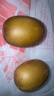 佳沛（zespri）新西兰  阳光金奇异果16粒礼盒经典果单果约 77-103g 水果 猕猴桃 实拍图