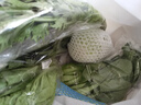  大芹菜约400g 实拍图